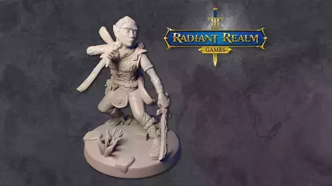 Male elf ranger - level 20 dual swords - anime-inspired