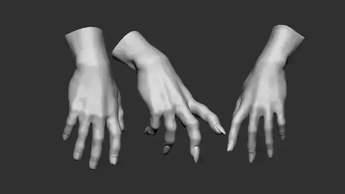 Hands Base Mesh 3D print model
