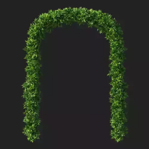 Cupressocyparis Leylandii Cypress Arc 3D model