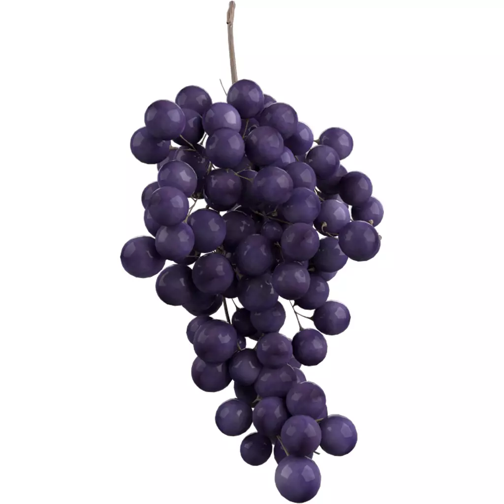 Bunch grapes 3D model_0