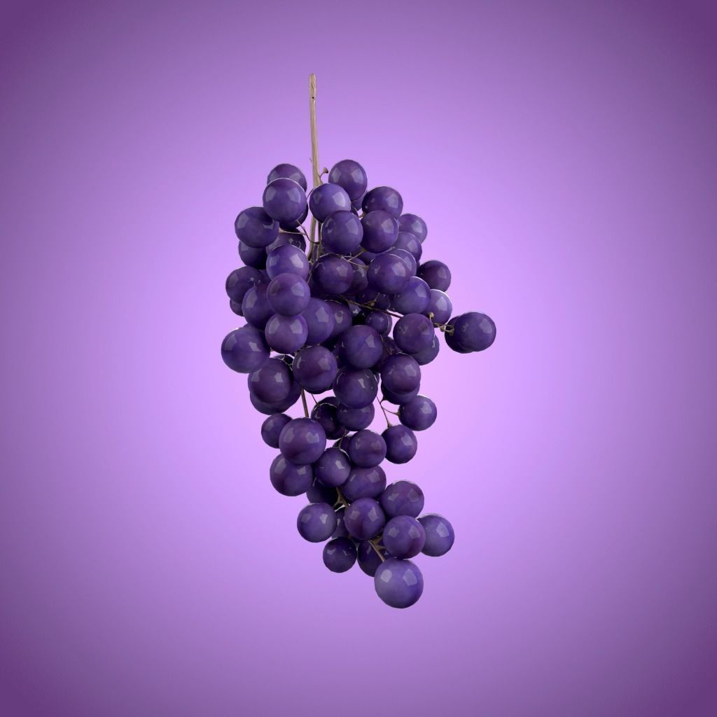 Bunch grapes 3D model_3