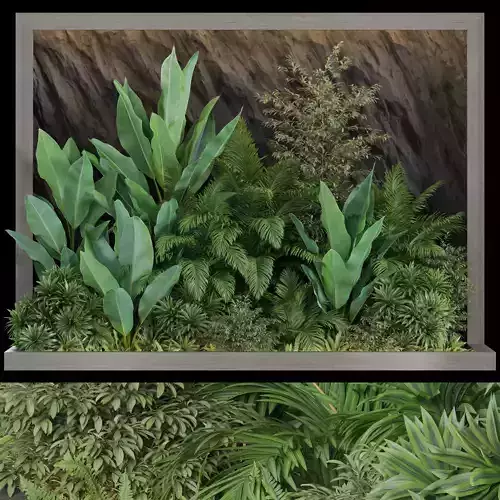Plants collection 933 3D model