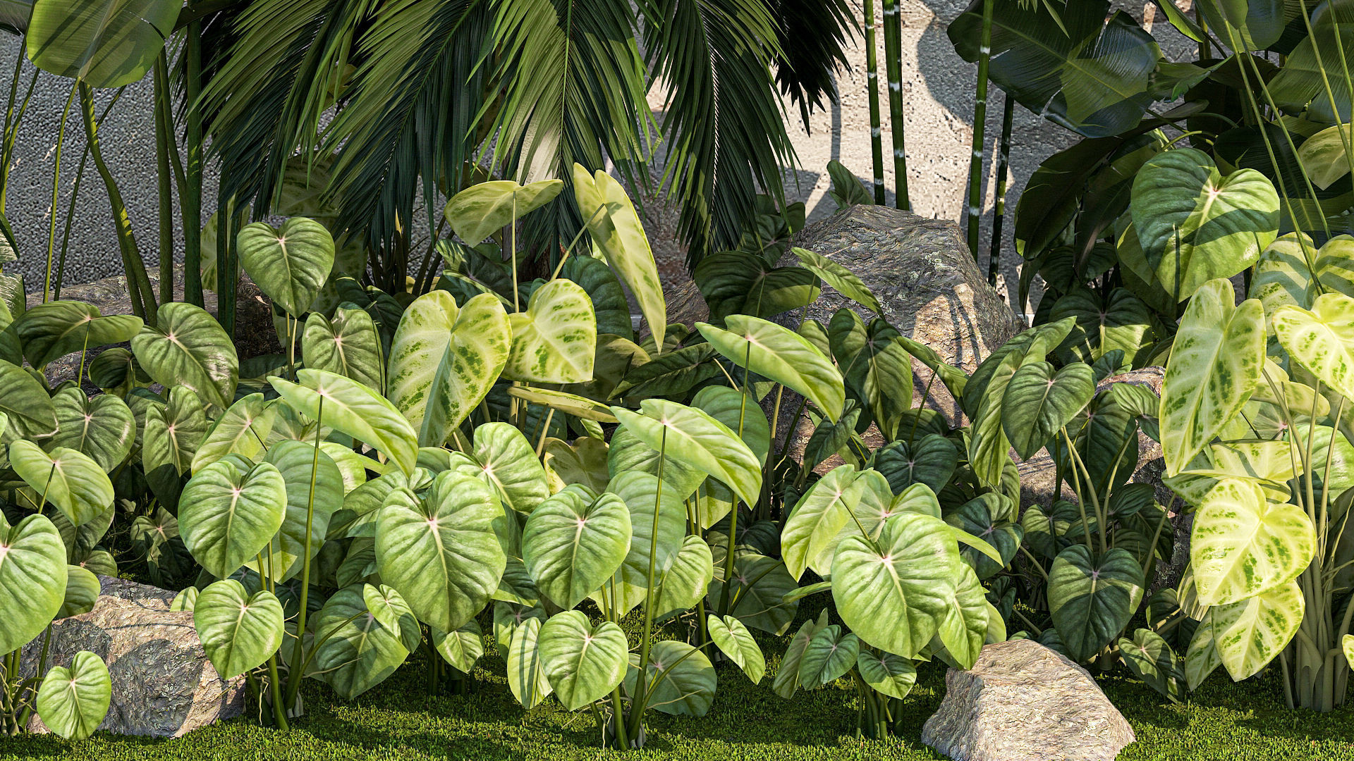 Garden of exotic and tropical palm plants 1273 3D model_7