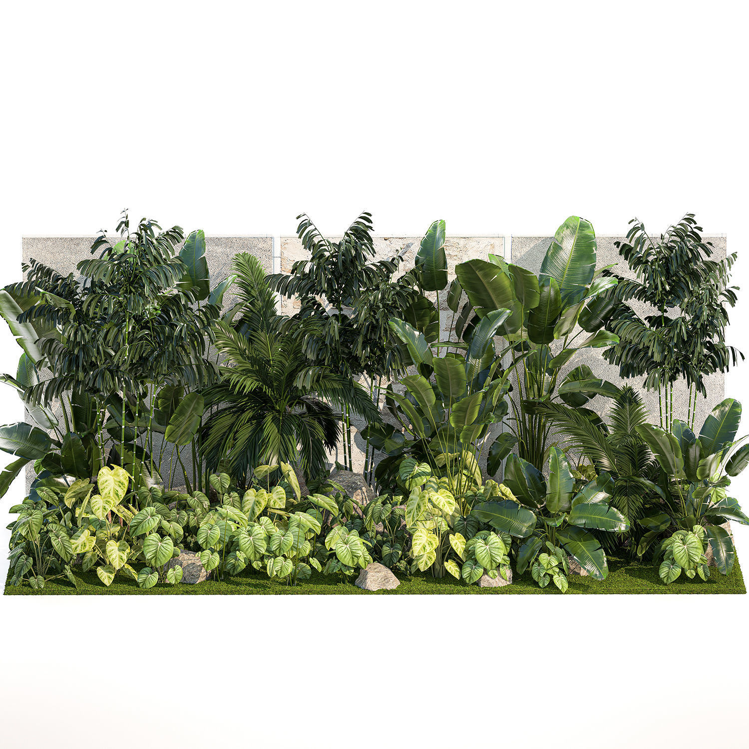 Garden of exotic and tropical palm plants 1273 3D model_10