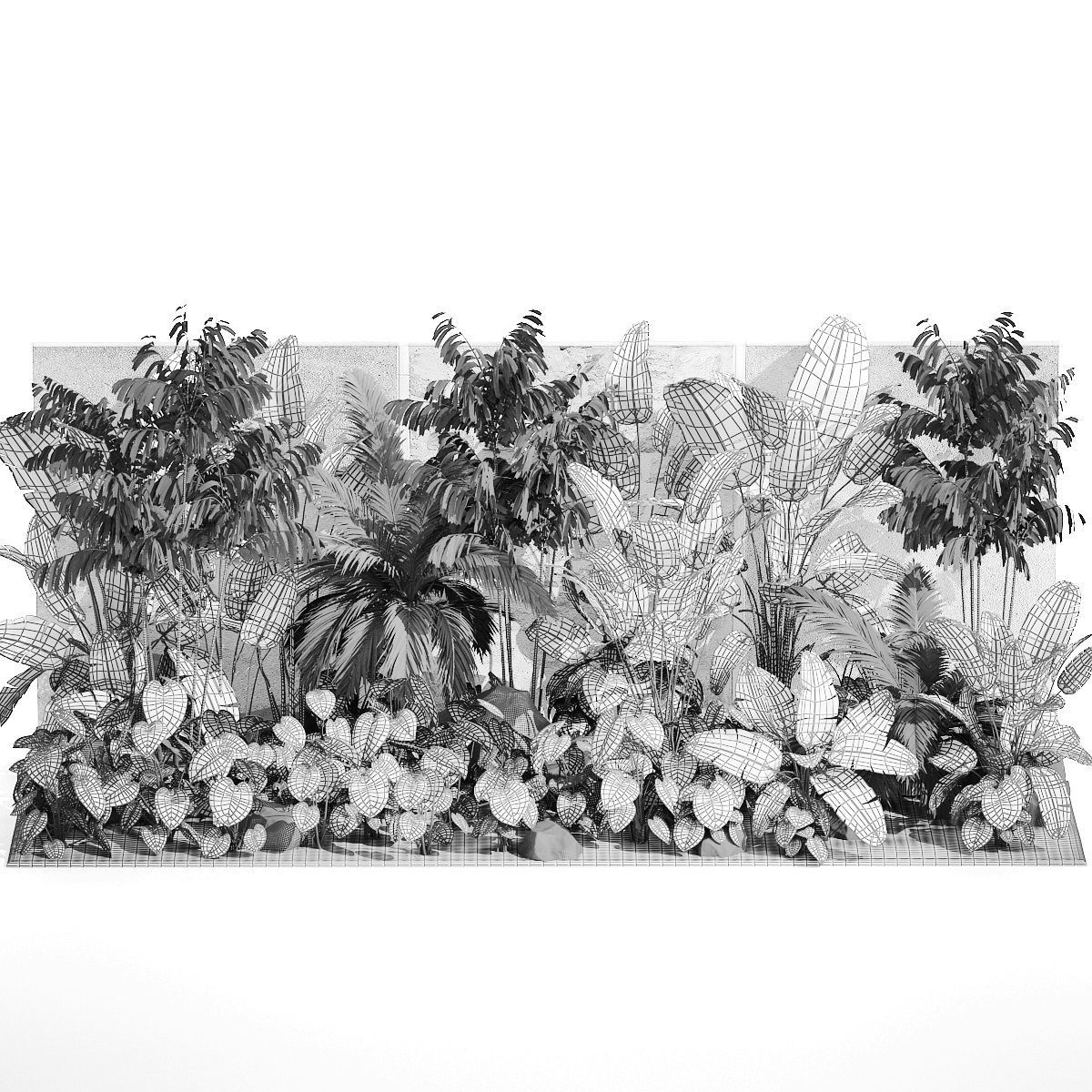 Garden of exotic and tropical palm plants 1273 3D model_21