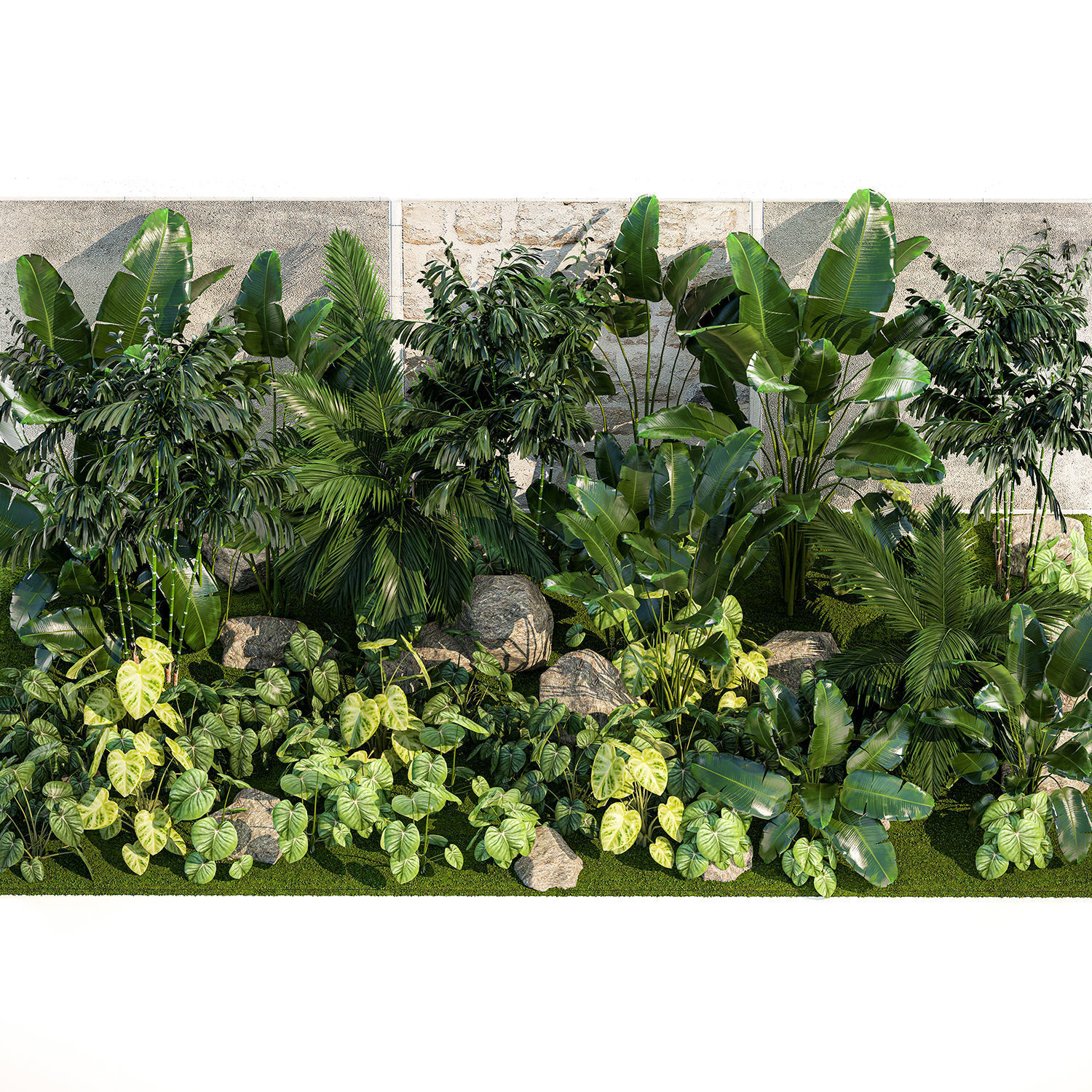 Garden of exotic and tropical palm plants 1273 3D model_11