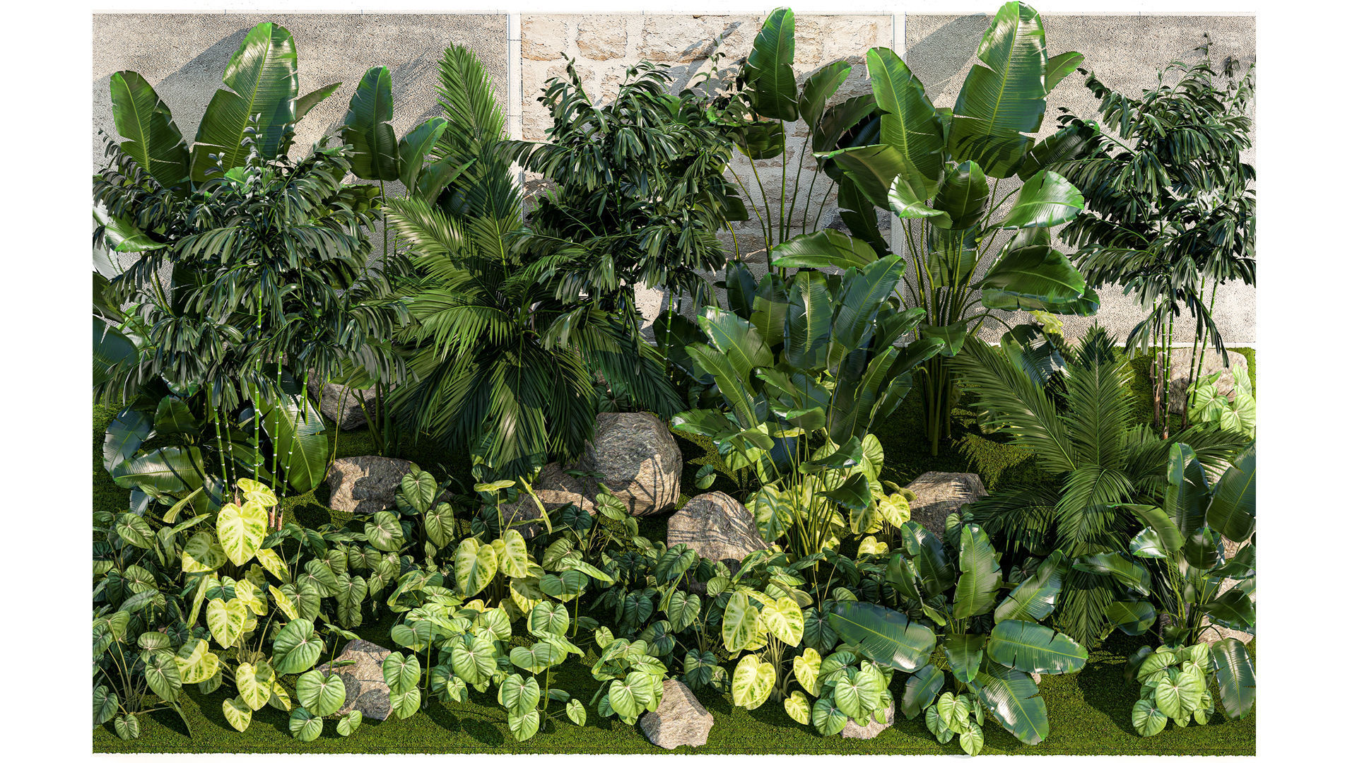 Garden of exotic and tropical palm plants 1273 3D model_2