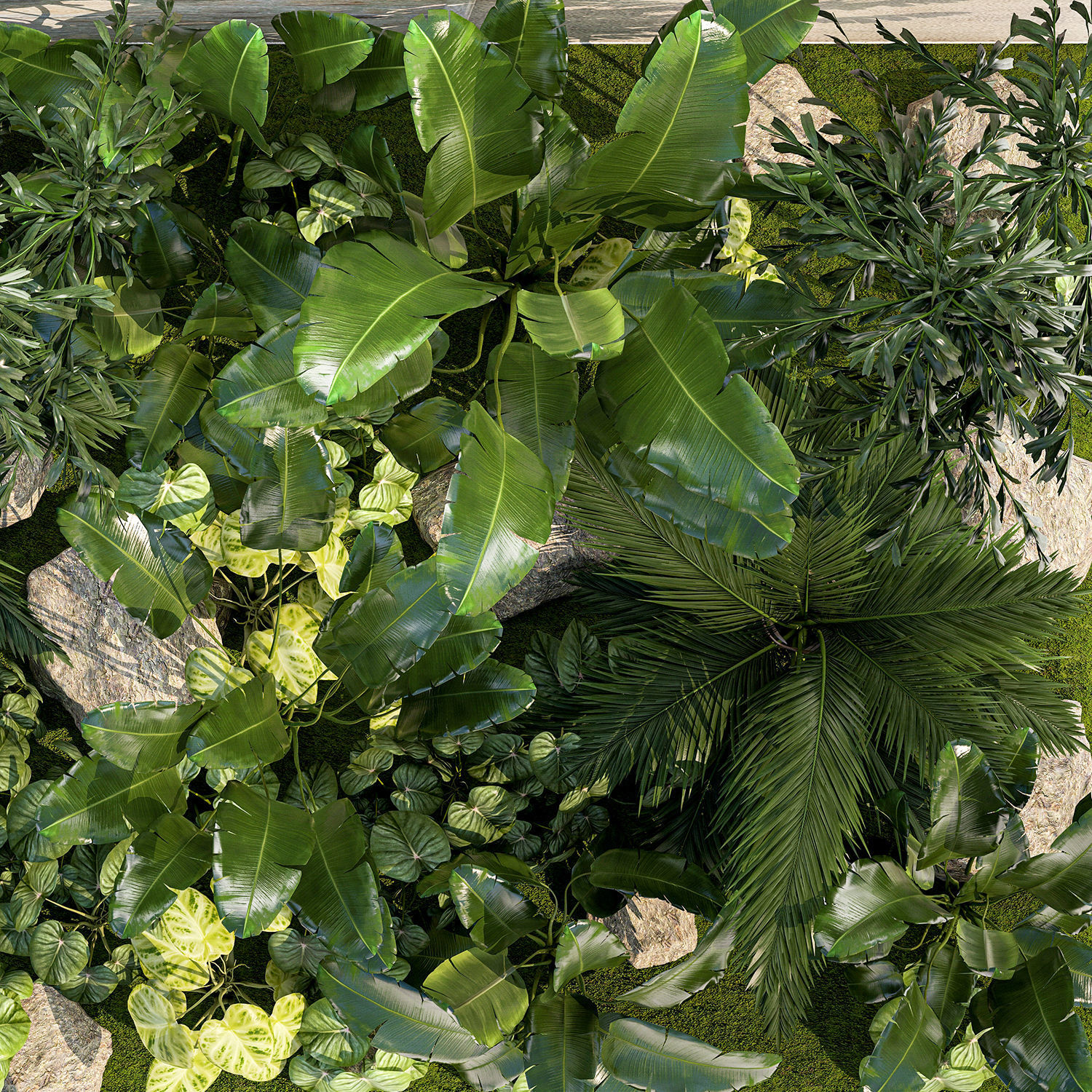 Garden of exotic and tropical palm plants 1273 3D model_18