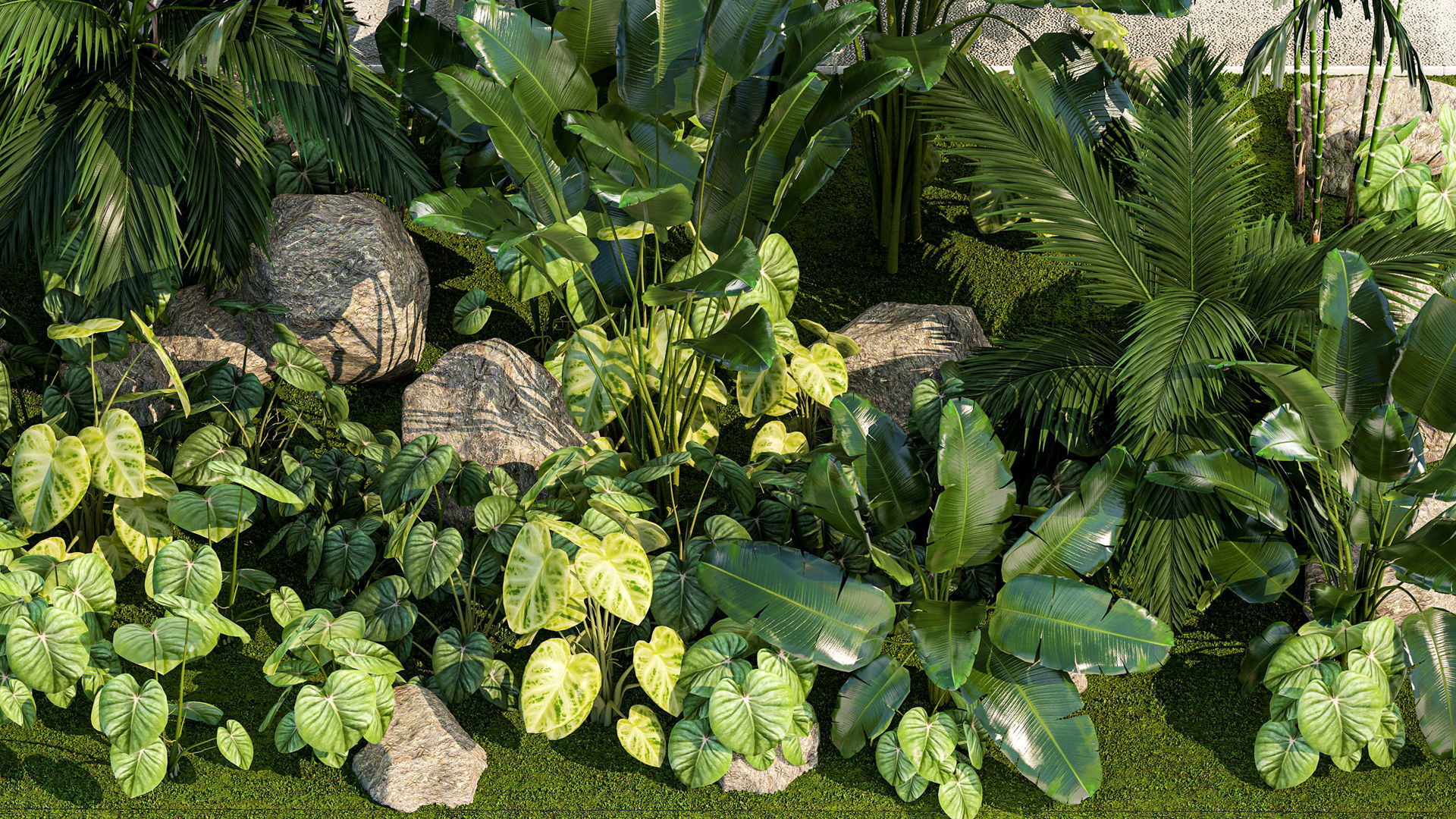 Garden of exotic and tropical palm plants 1273 3D model_3