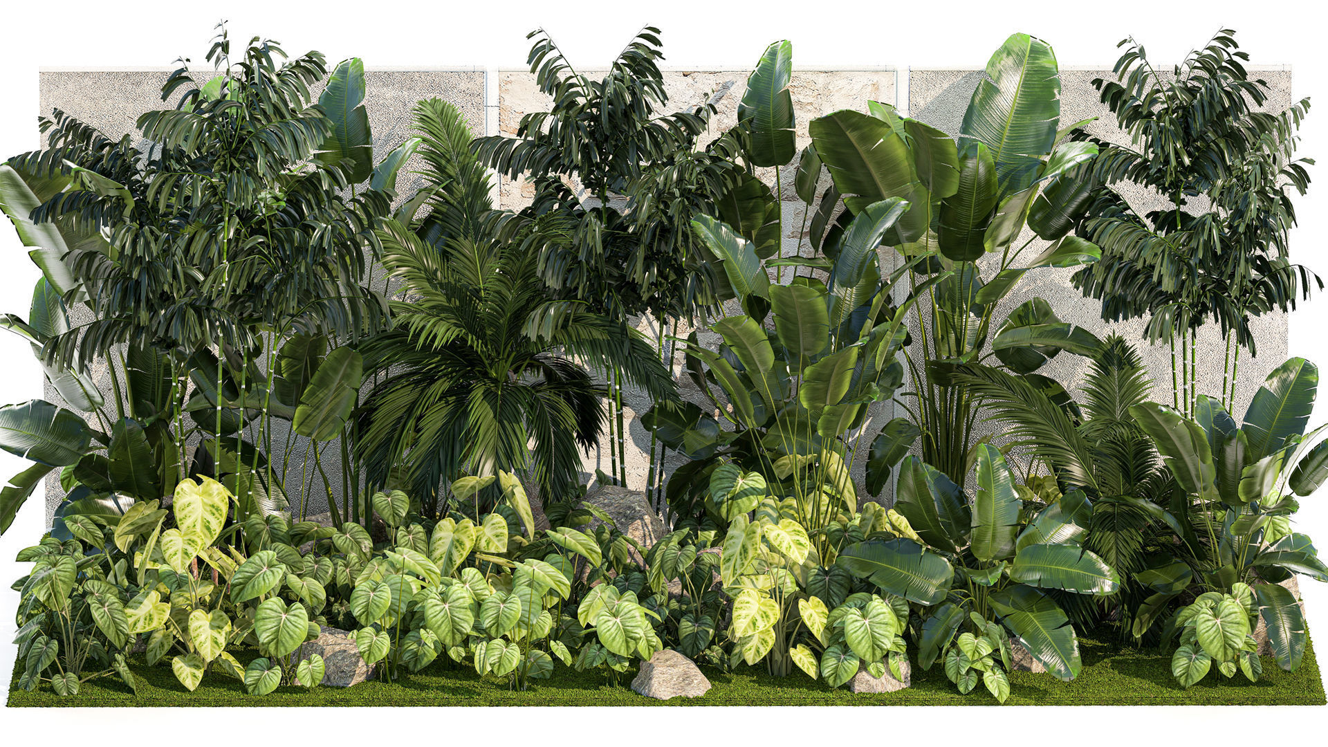 Garden of exotic and tropical palm plants 1273 3D model_1