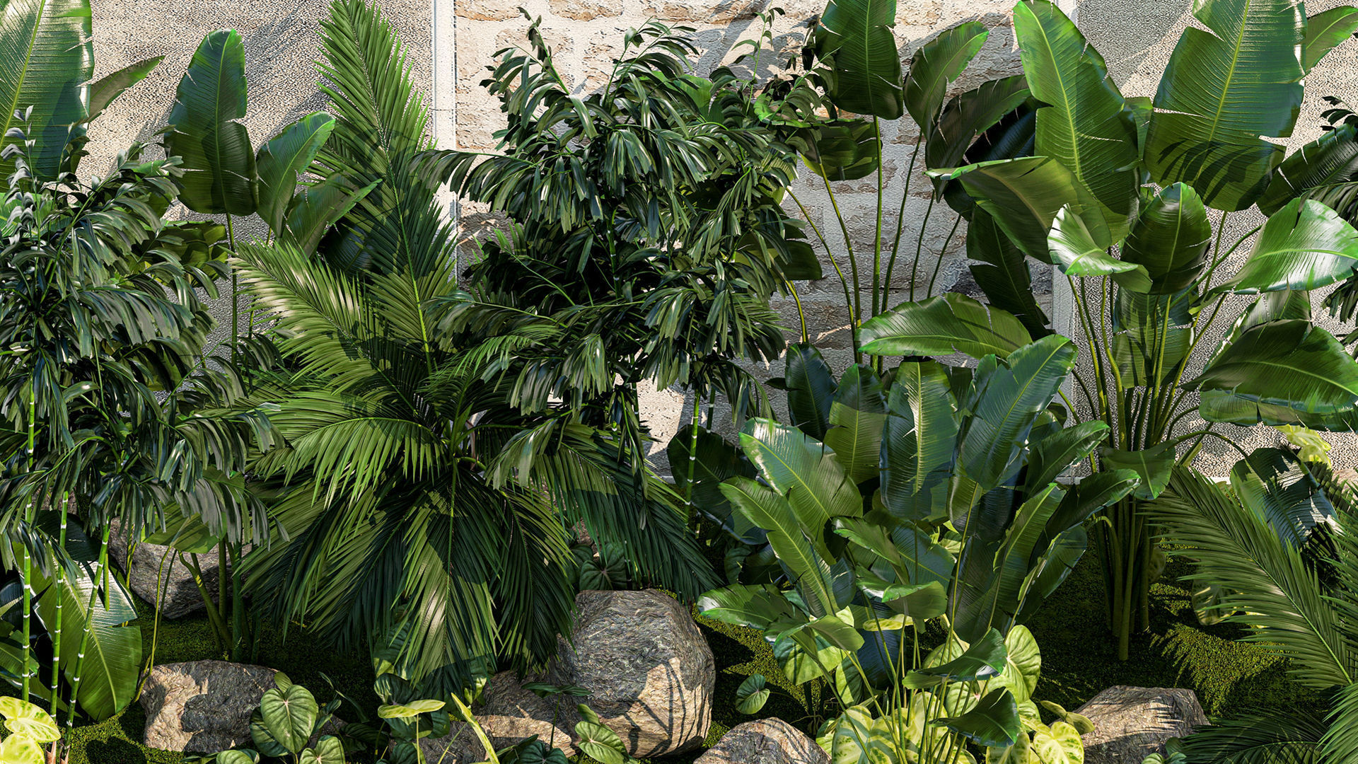 Garden of exotic and tropical palm plants 1273 3D model_6