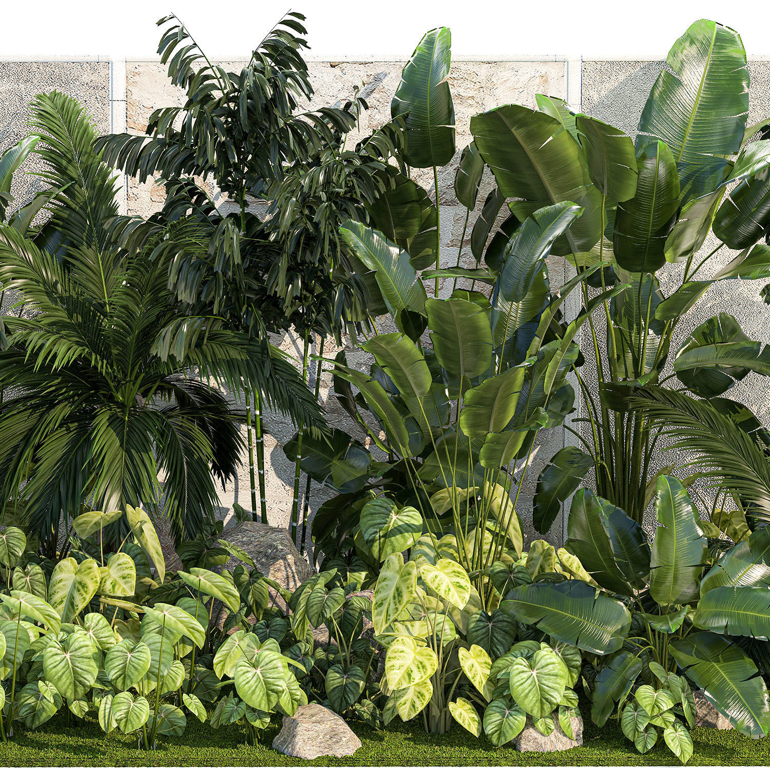 Garden of exotic and tropical palm plants 1273 3D model_13