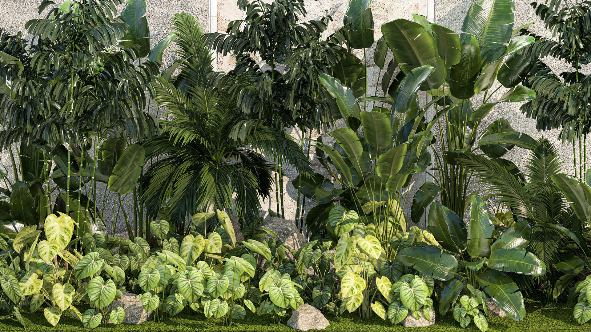 Garden of exotic and tropical palm plants 1273 3D model_4