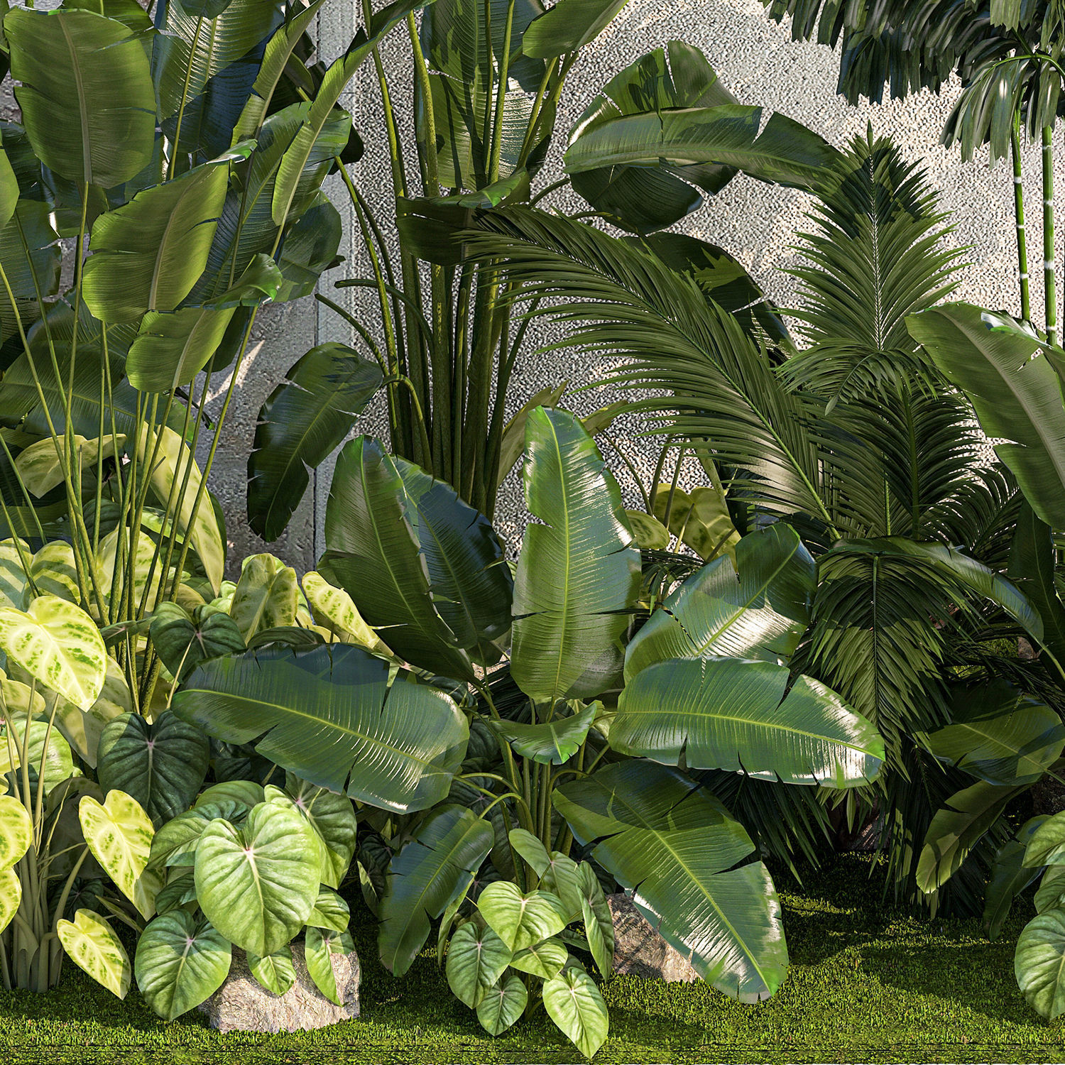 Garden of exotic and tropical palm plants 1273 3D model_15