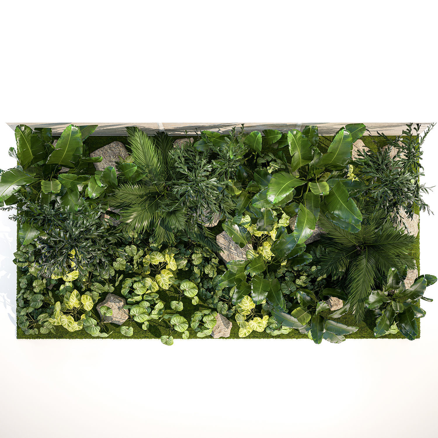 Garden of exotic and tropical palm plants 1273 3D model_12