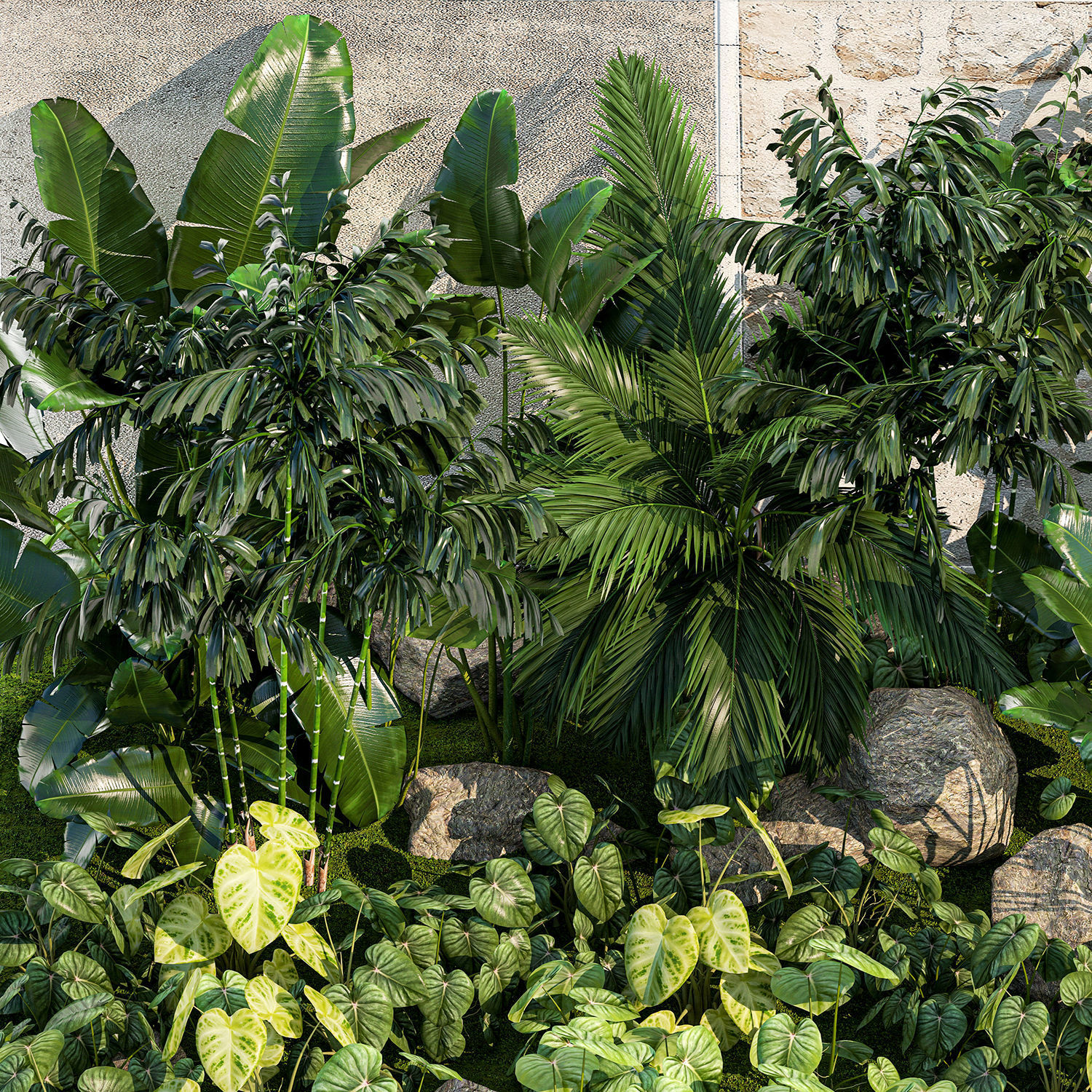 Garden of exotic and tropical palm plants 1273 3D model_17