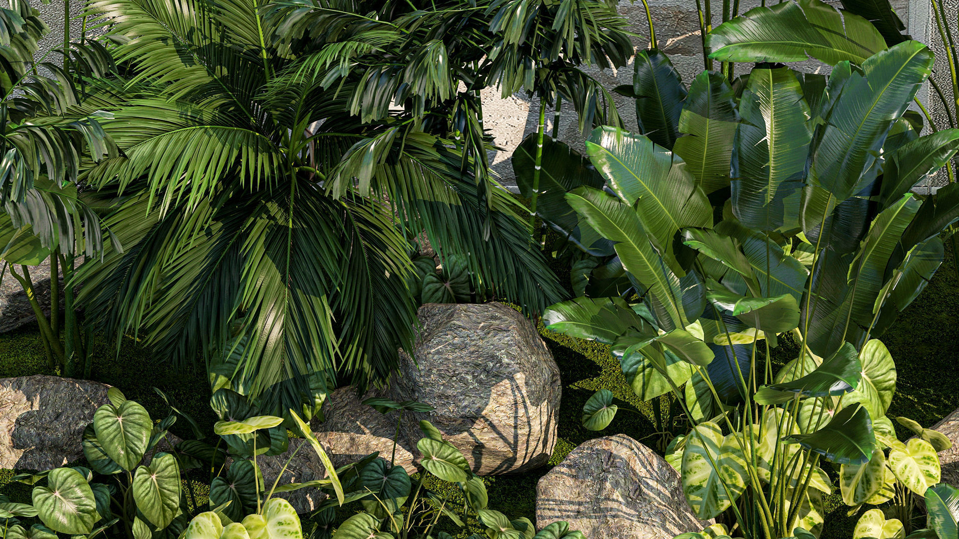 Garden of exotic and tropical palm plants 1273 3D model_5