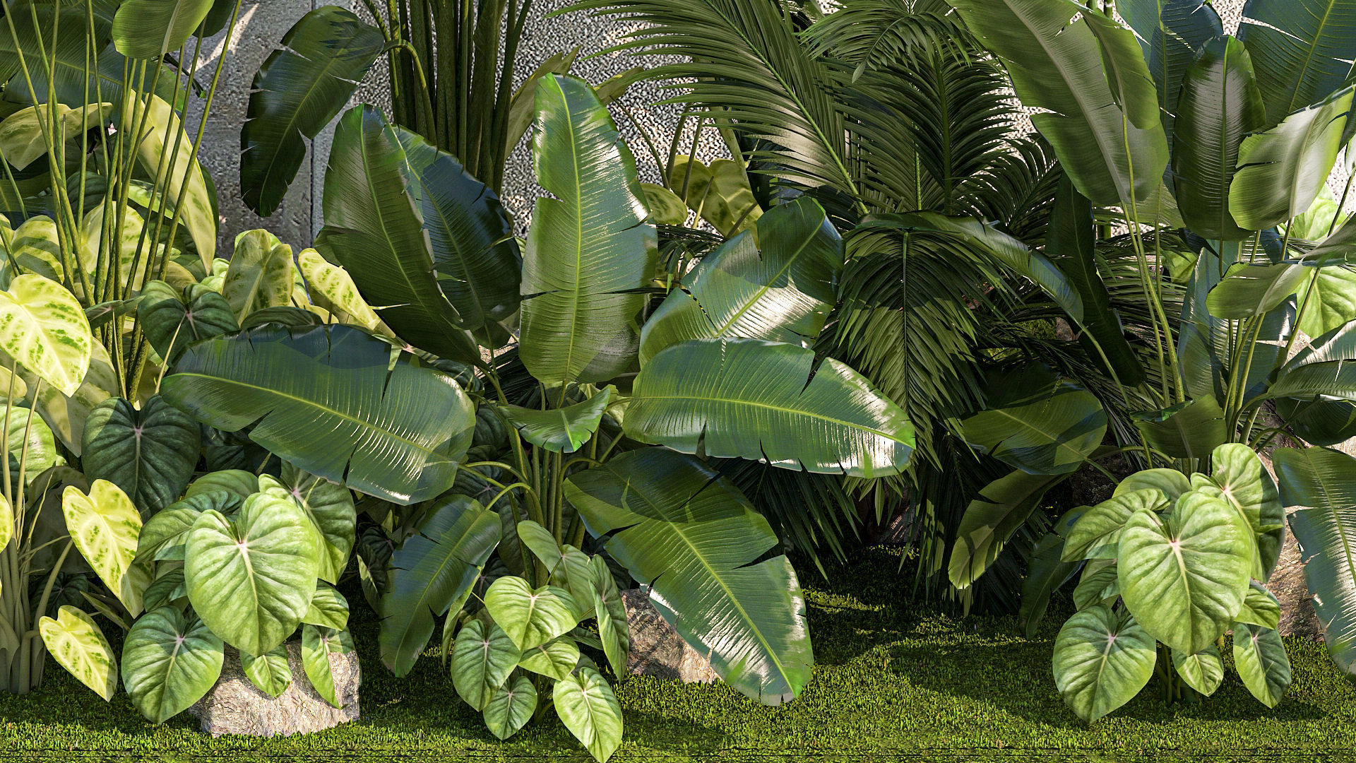Garden of exotic and tropical palm plants 1273 3D model_9