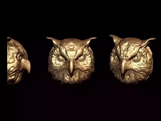 OWL head 