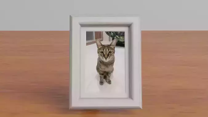 photo frame Low-poly 3D model
