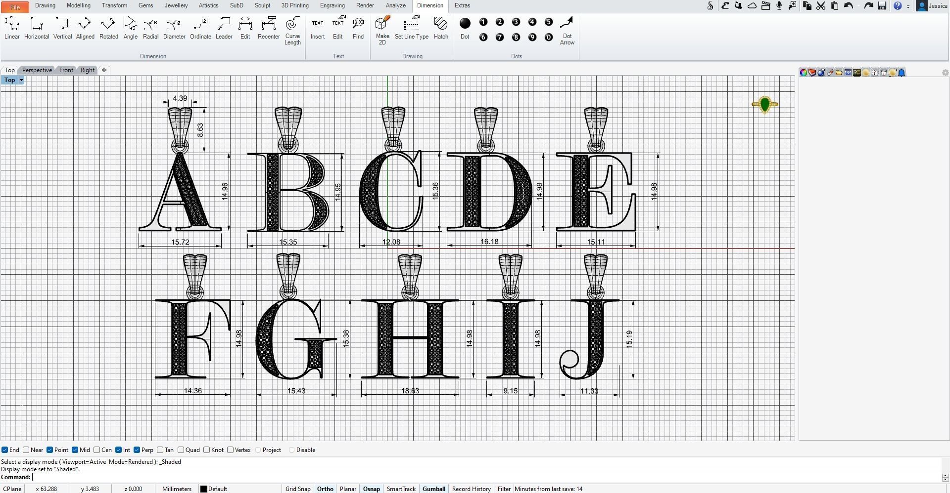 PAVE LETTERS 3D print model_3