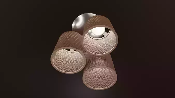 Rattan Light Fixture 3D model