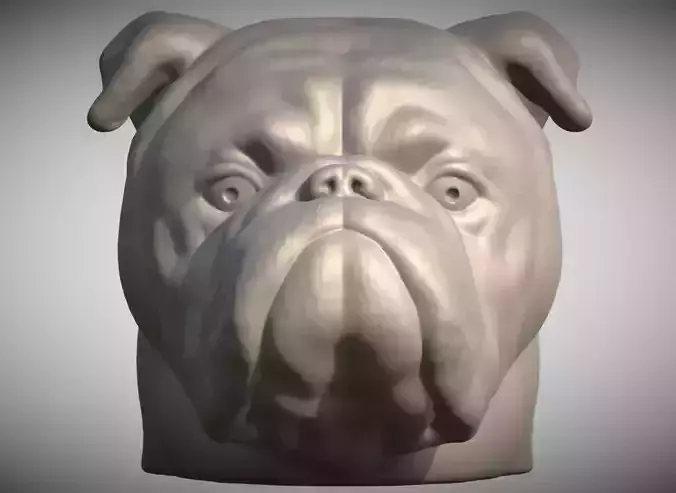 English Bulldog head for 3D printing