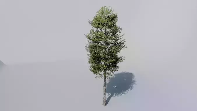 Low Poly Tree Pack Low-poly 3D model