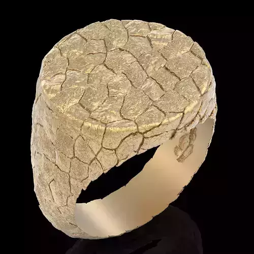 Rock ring  gold jewelry 3D printable model