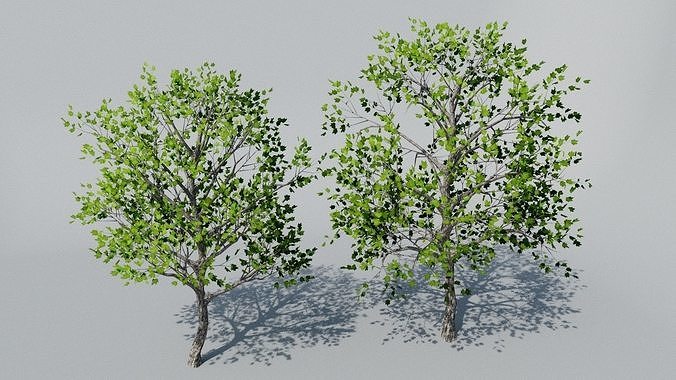 Maple Trees Free low-poly 3D model