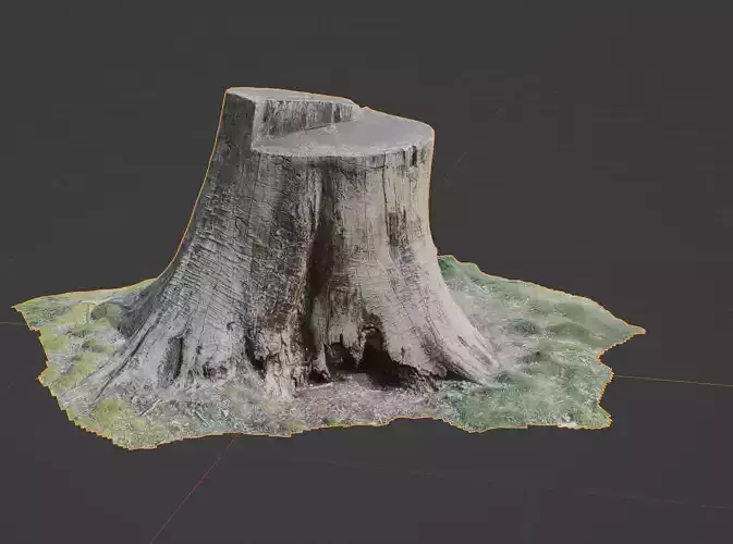 Tree-stumb 3D model