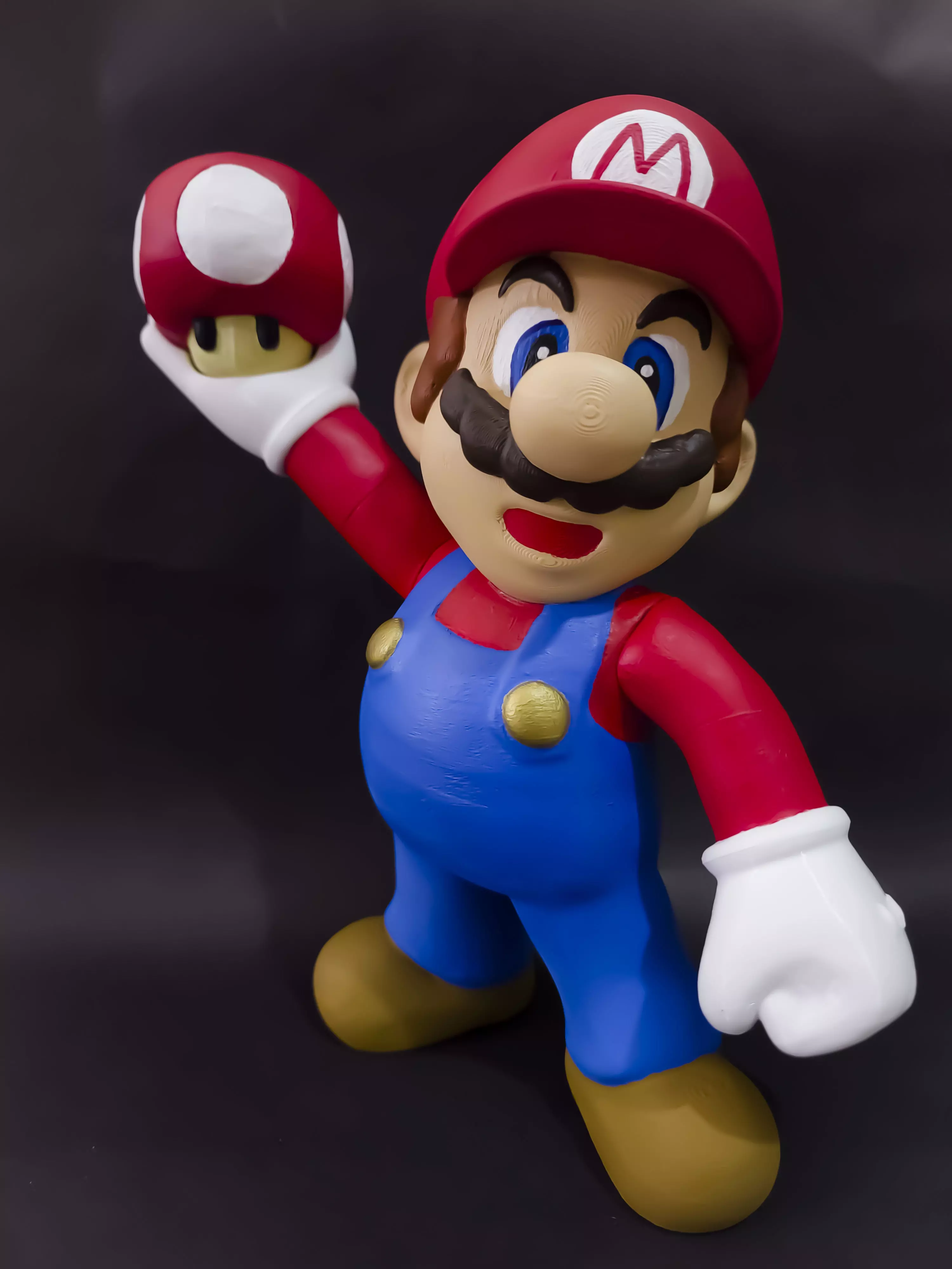 SUPER MARIO BROS NO SUPPORTS 3D print model_0