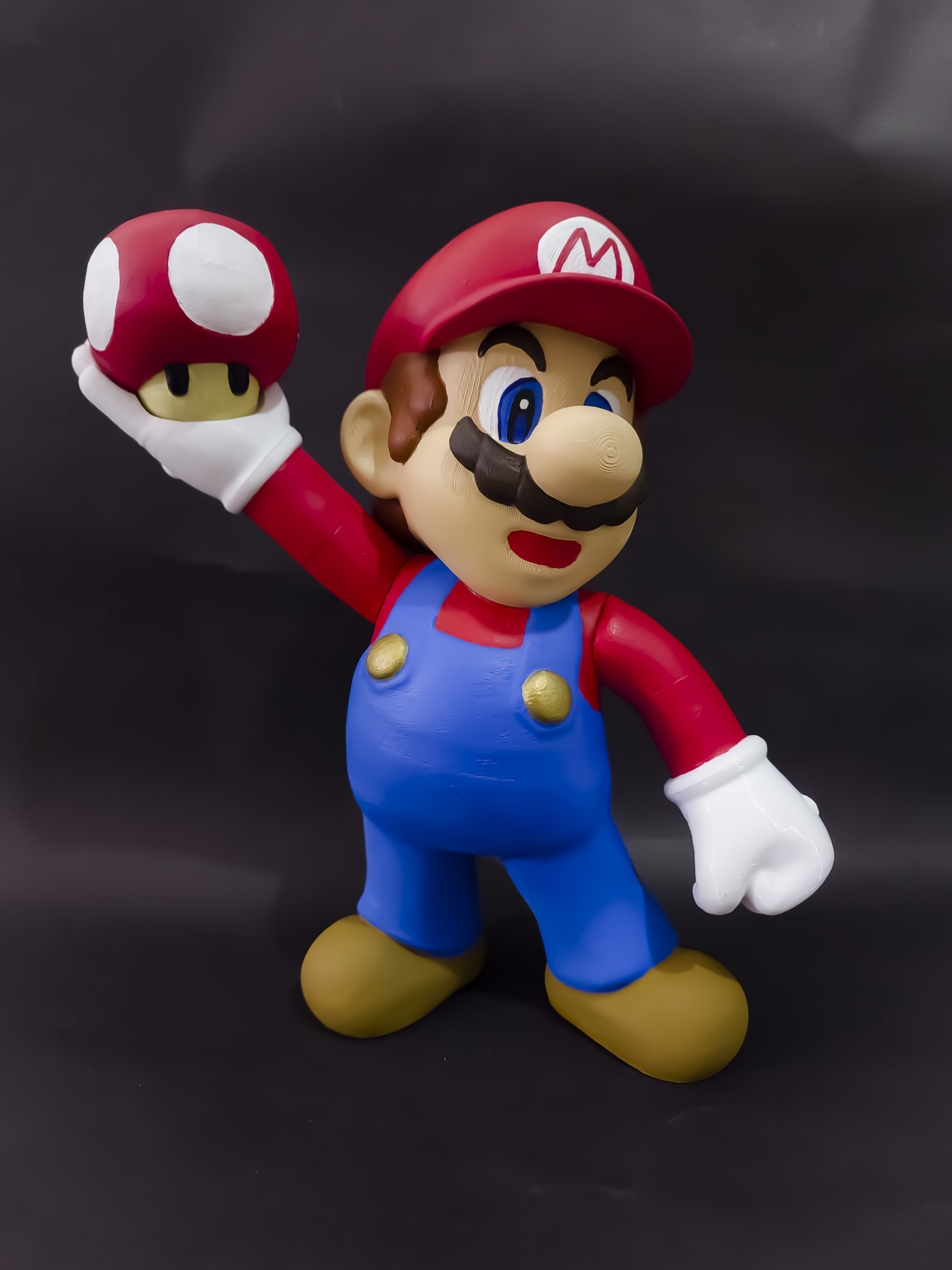 SUPER MARIO BROS NO SUPPORTS 3D print model_4