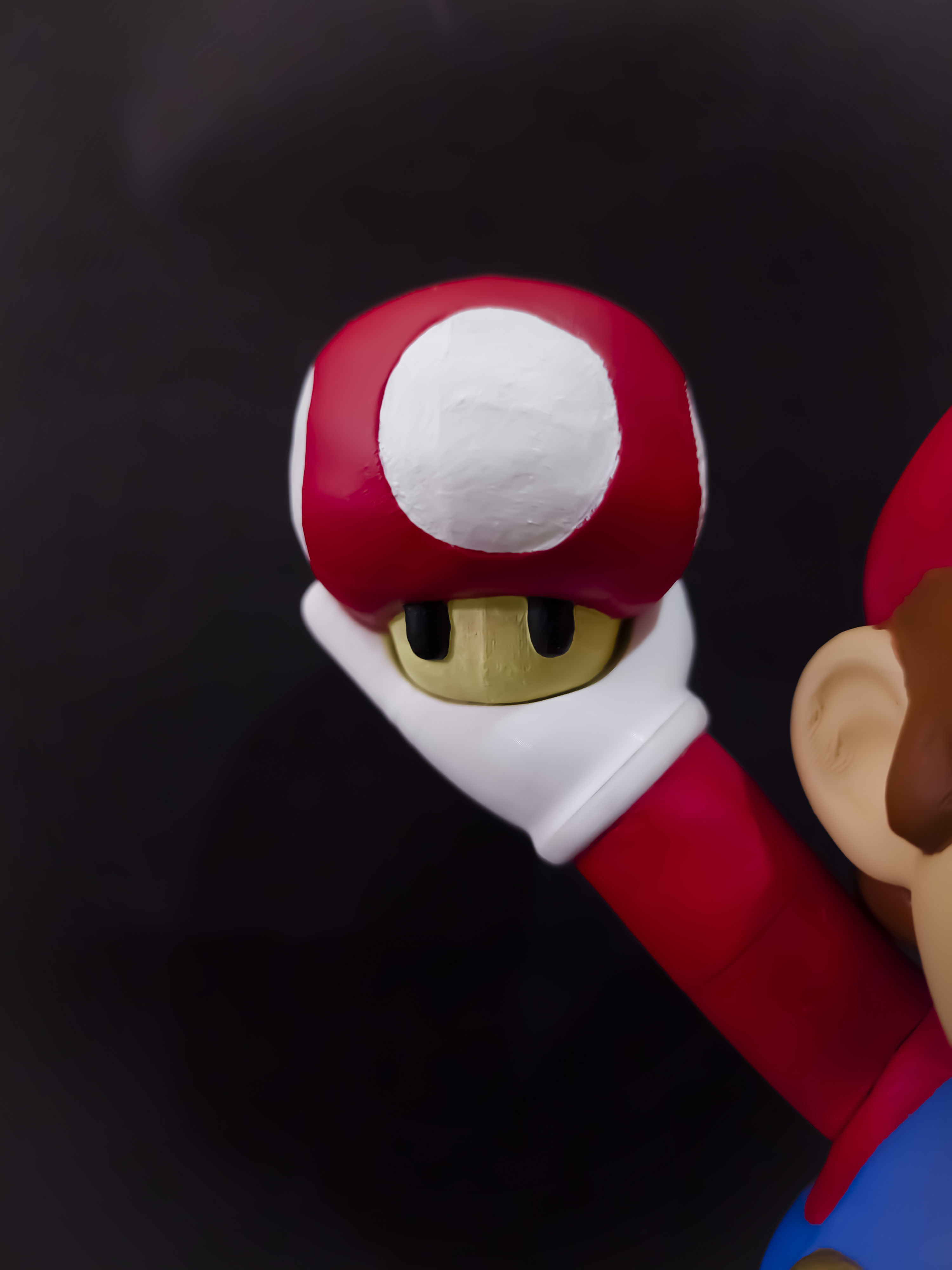 SUPER MARIO BROS NO SUPPORTS 3D print model_5