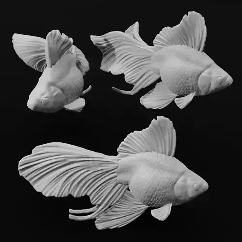 Ryukin Fancy Goldfish - Realistic Fish Pet 3d Print Model 3D print model