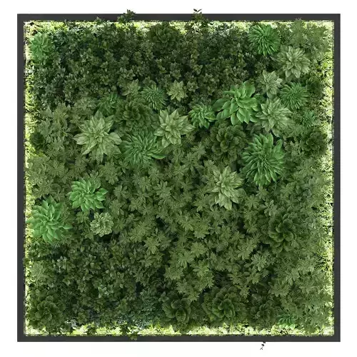 Vertical garden 206