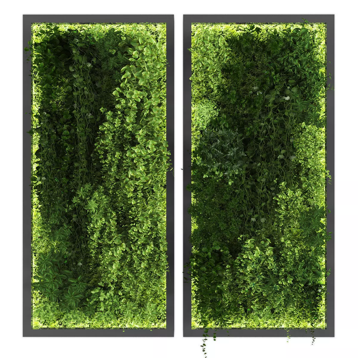 Vertical garden 207 Low-poly 3D model_0