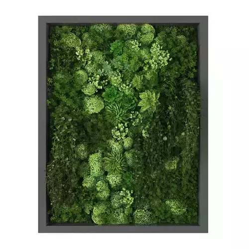 Vertical garden 209