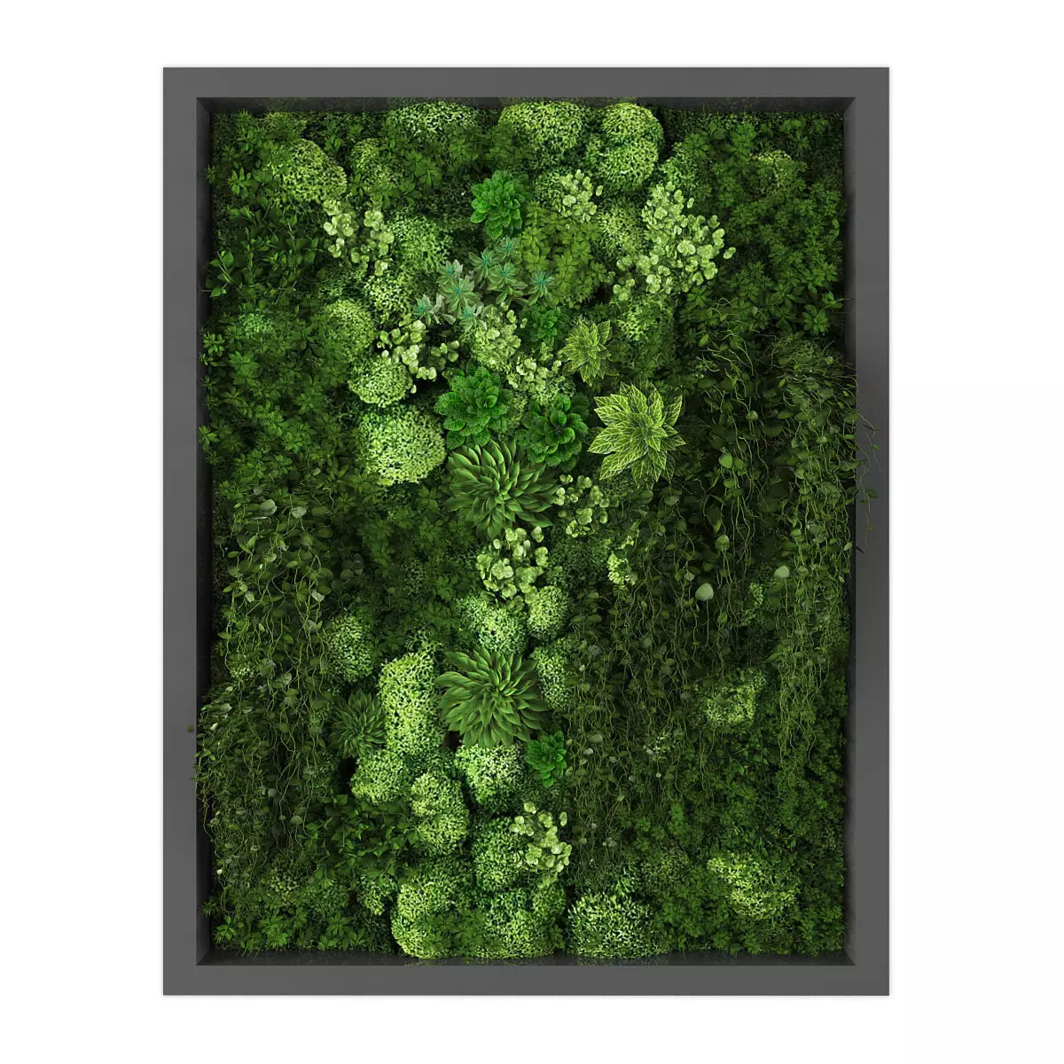 Vertical garden 209 Low-poly 3D model_0
