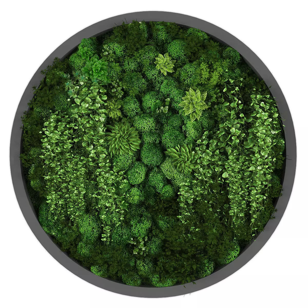 Vertical garden 210 Low-poly 3D model_0