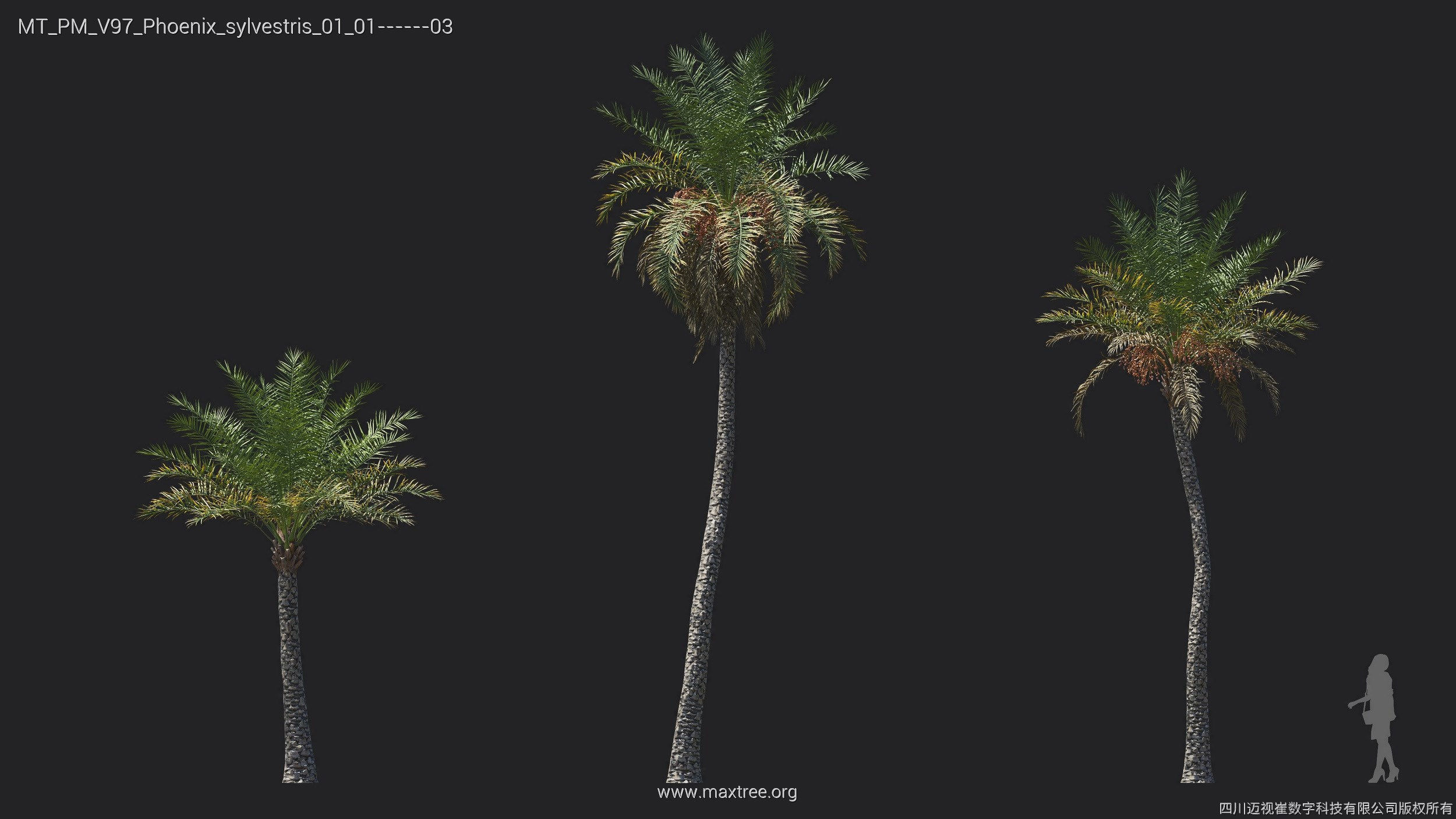 Maxtree Plant Models Vol 97 - Mesh 3D model_19