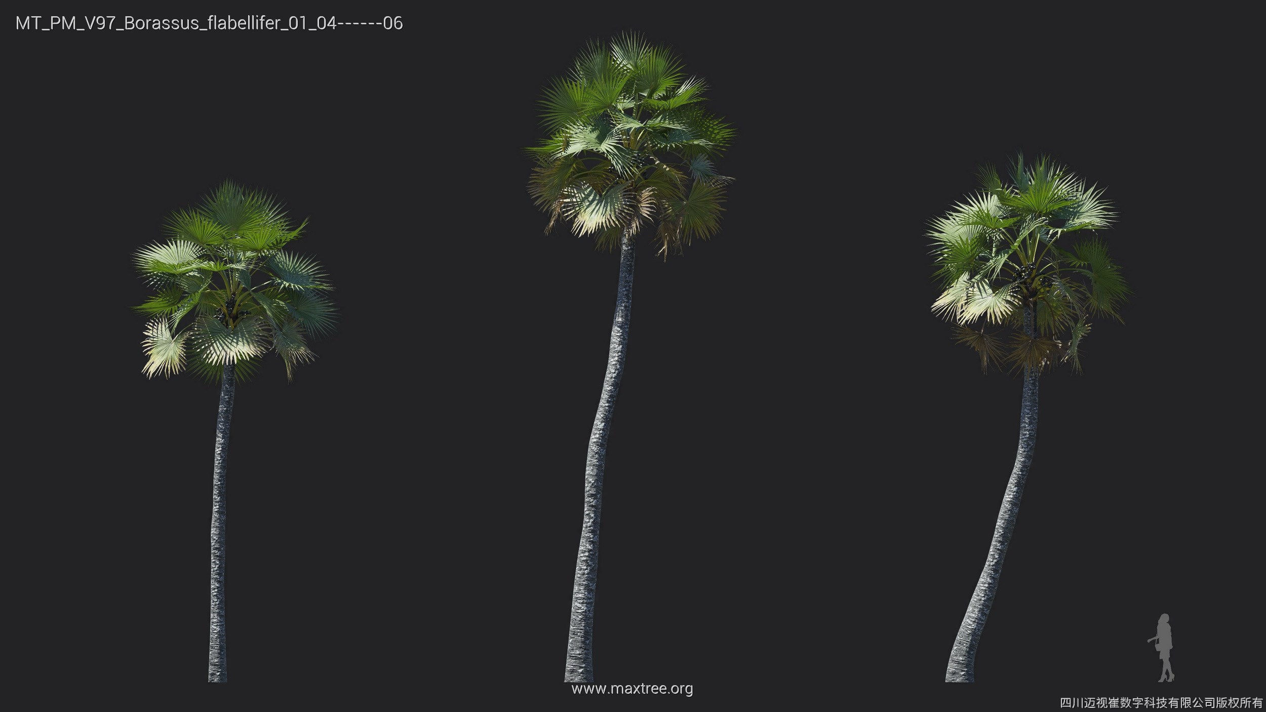 Maxtree Plant Models Vol 97 - Mesh 3D model_10