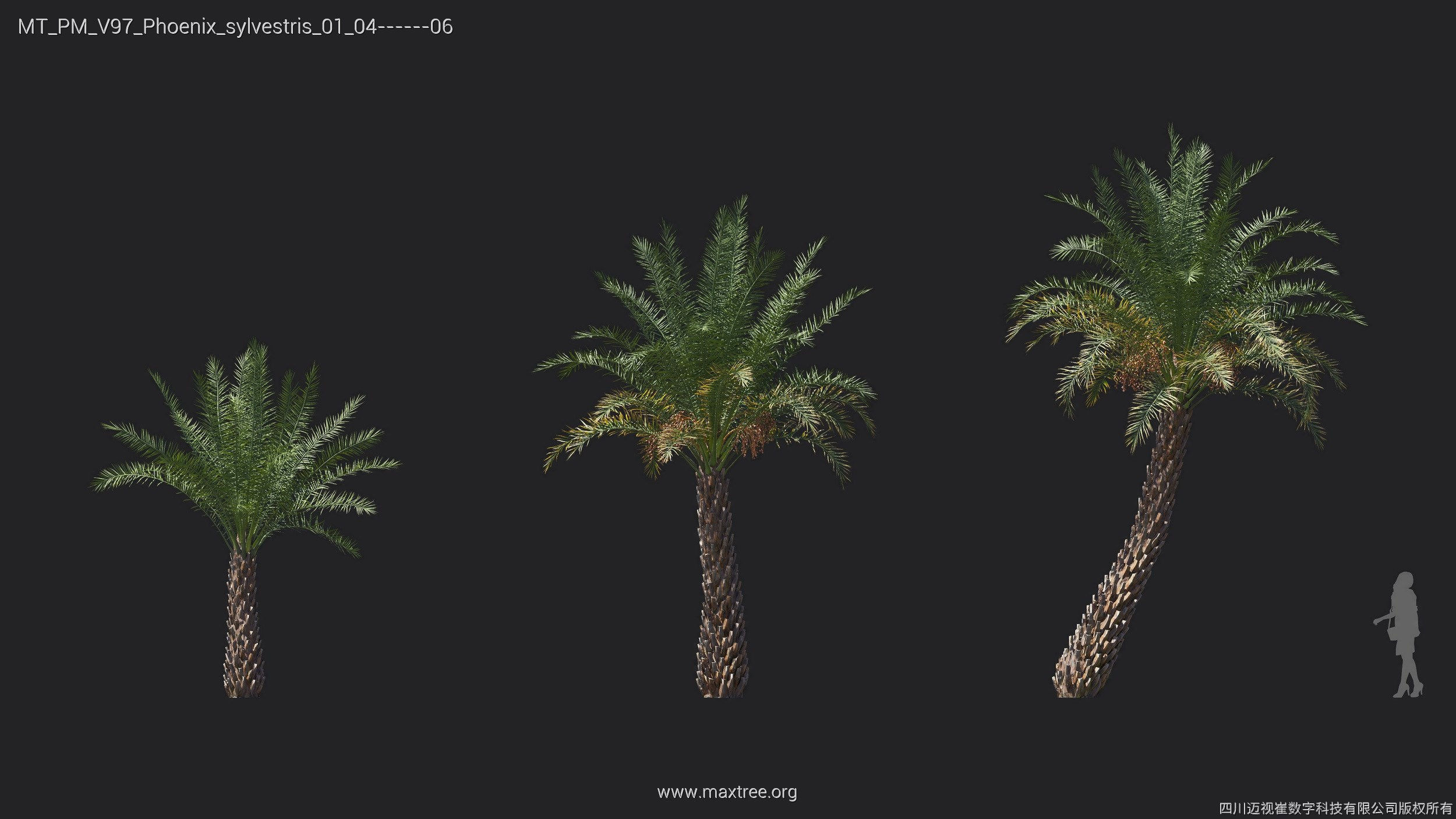 Maxtree Plant Models Vol 97 - Mesh 3D model_20