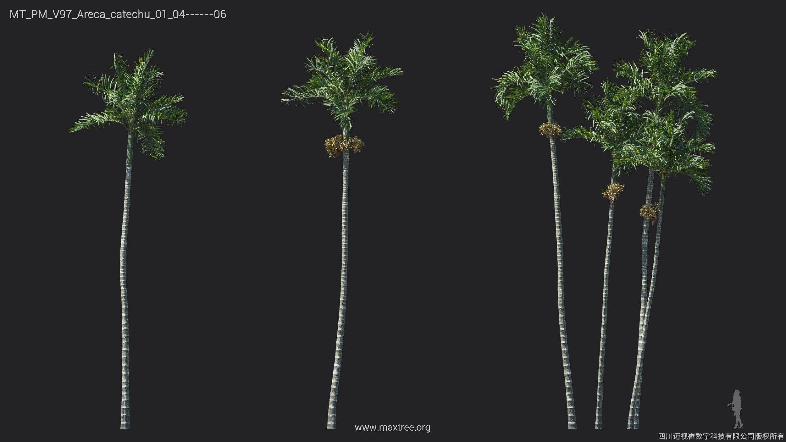 Maxtree Plant Models Vol 97 - Mesh 3D model_8