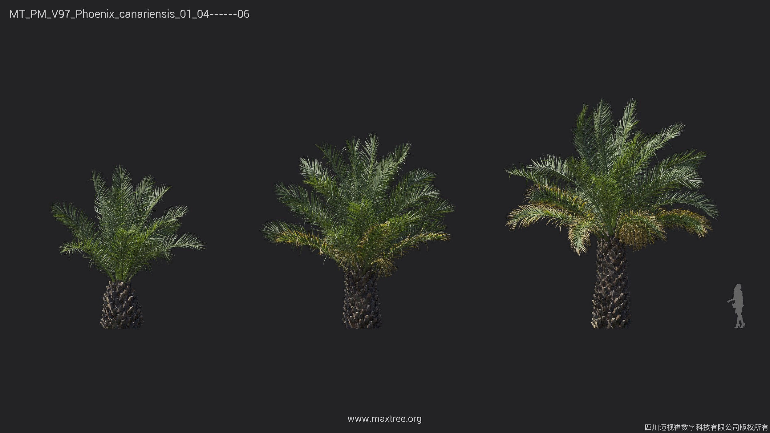 Maxtree Plant Models Vol 97 - Mesh 3D model_18