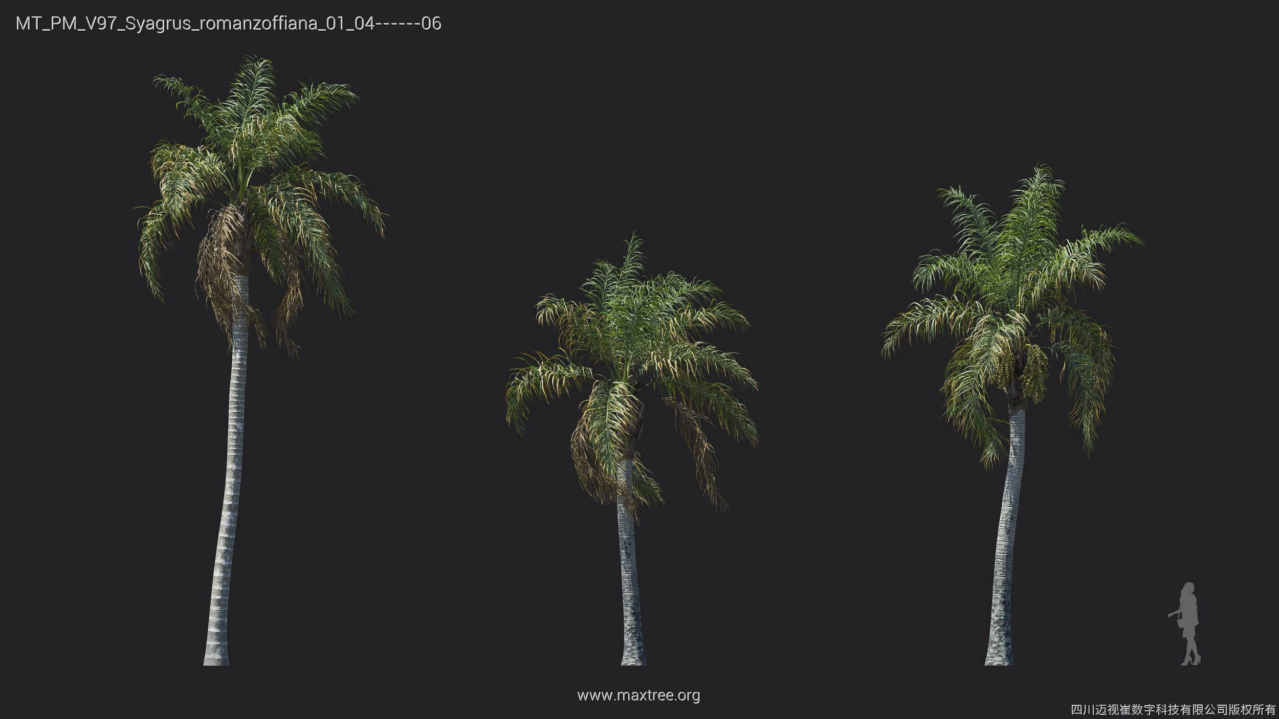 Maxtree Plant Models Vol 97 - Mesh 3D model_30