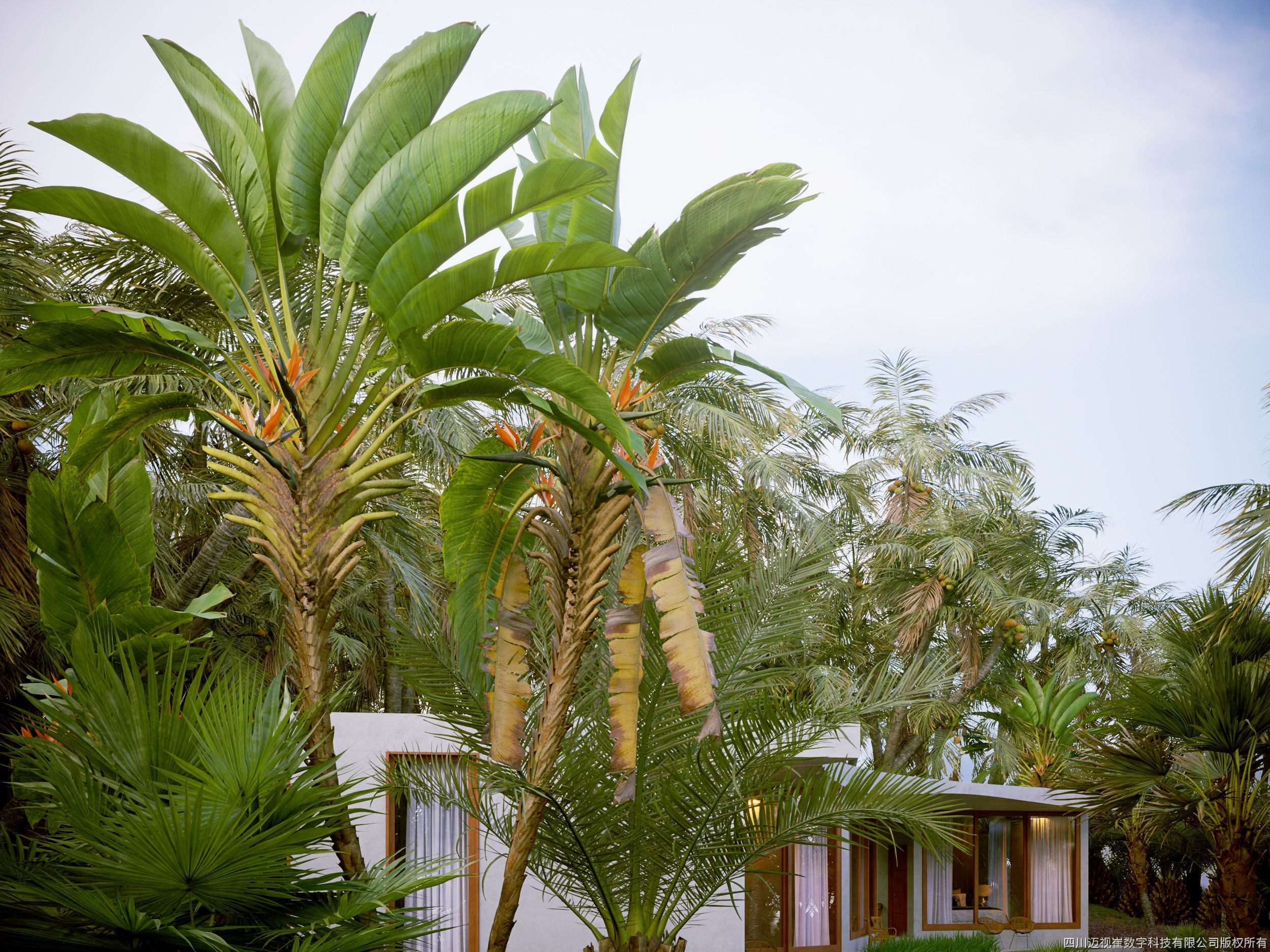 Maxtree Plant Models Vol 97 - Mesh 3D model_3