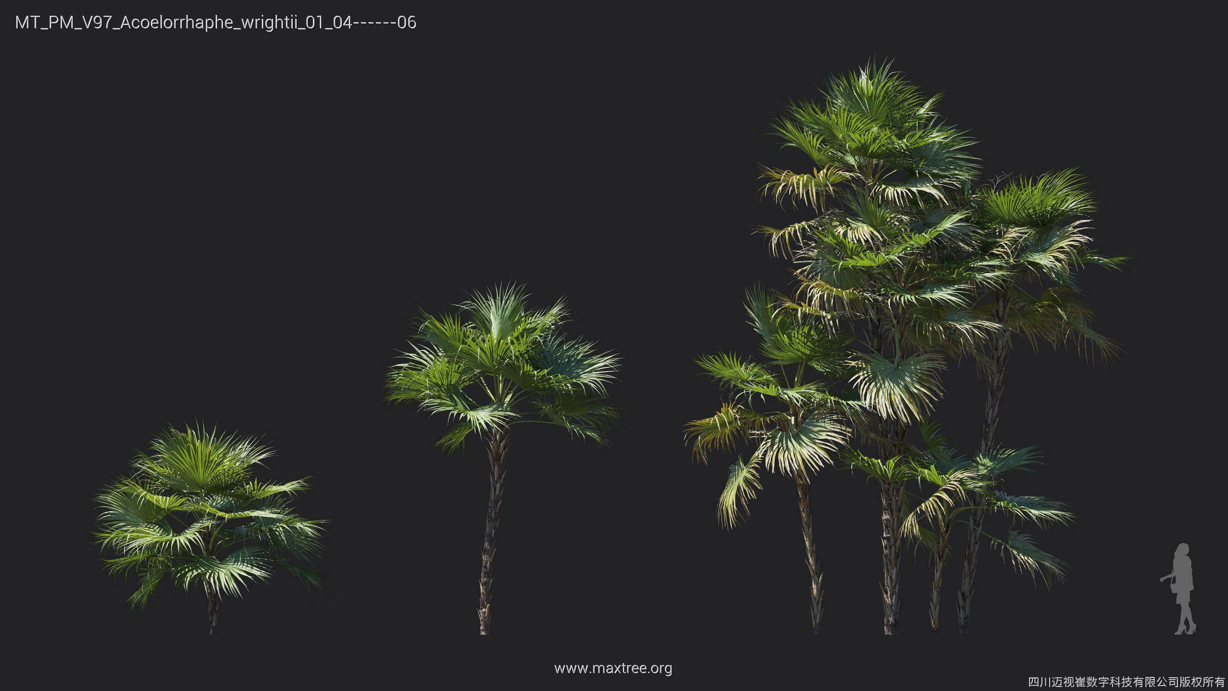 Maxtree Plant Models Vol 97 - Mesh 3D model_6