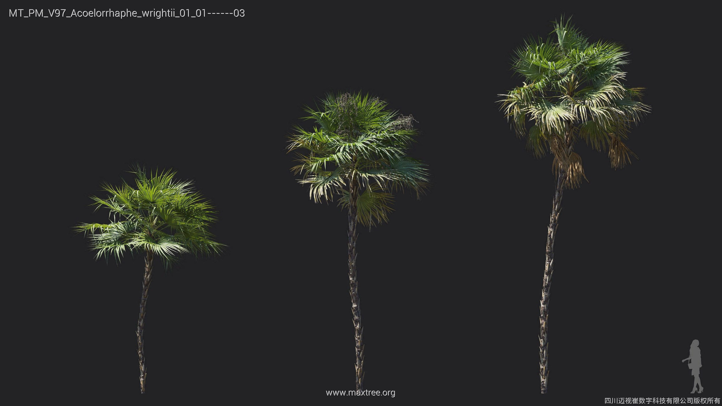 Maxtree Plant Models Vol 97 - Mesh 3D model_5