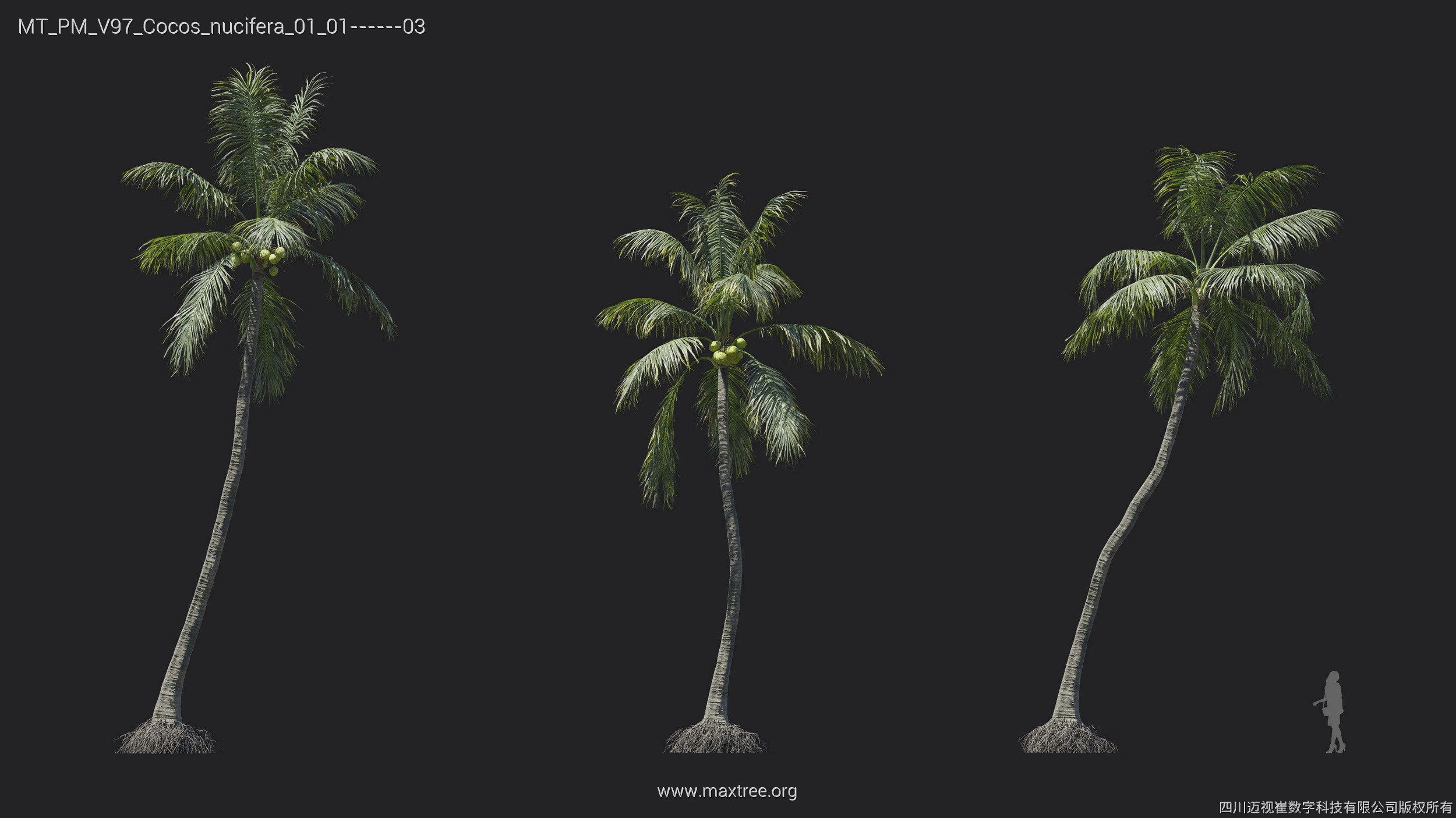 Maxtree Plant Models Vol 97 - Mesh 3D model_11